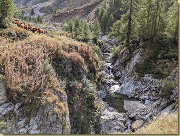 la forra del torrente...