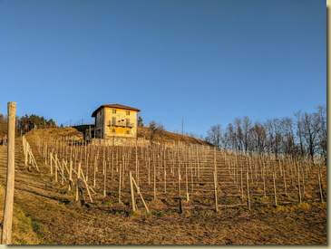 tra i vigneti di Boca...