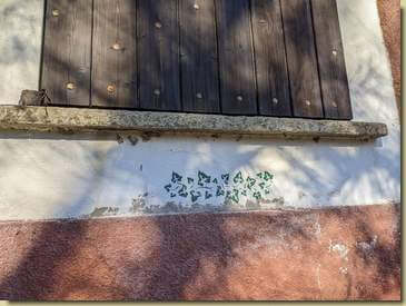 decorazioni...