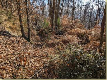 qualche tratto risulta un po' invaso dalla vegetazione...