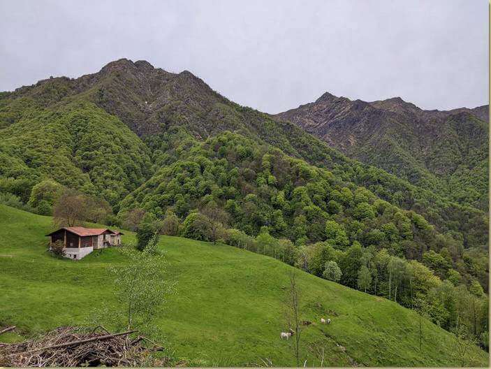 all'Alpe Astove sartore...
