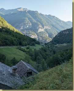 a Rosi...
