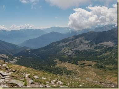 i pascoli dell'Alpe di Monscera...