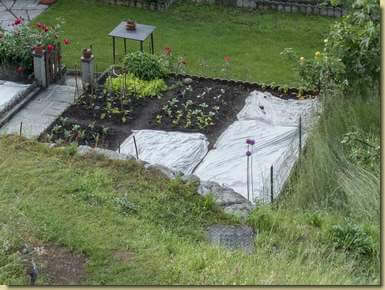 orticello a Cresta...