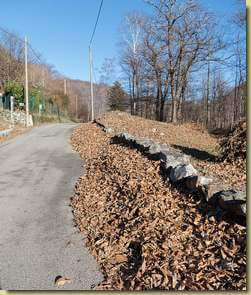 accumuli di  foglie...