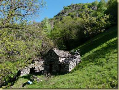 Alpe Sarcera...