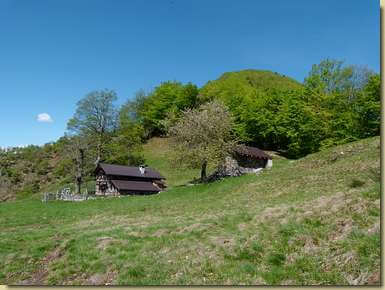 Alpe Piana...