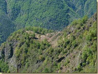 Alpe Camugher...