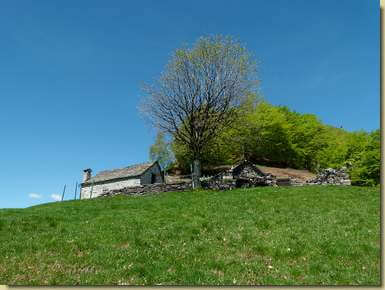 Alpe Castello...