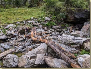 al "ponte" che cerchiamo di evitare dato i tronchi bagnati...