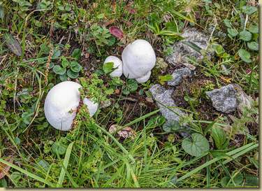 lungo il percorso...