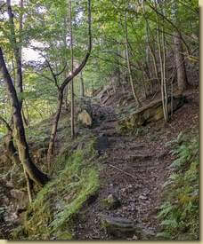 sul sentiero iniziale...