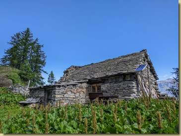 i lavazz circondano l'alpe...