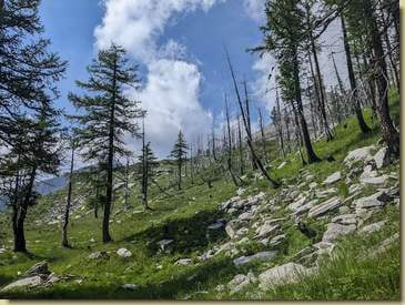 immutato dopo alcuni anni dall'ultima visita, l'aspetto di questo versante...