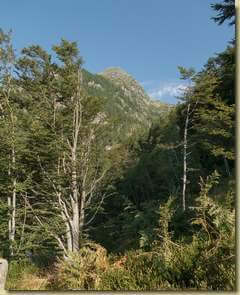 entrando nel Vallone del Rio Lasino...