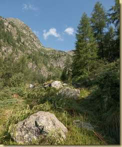 nel Vallone del Rio Lasino...