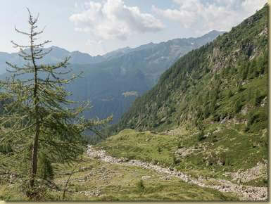 il pianoro dell'Alpe Asinello...