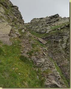 salendo al Passo Asinello...