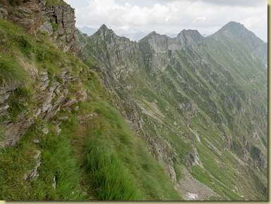 il sentiero per il Passo di Valaverta...