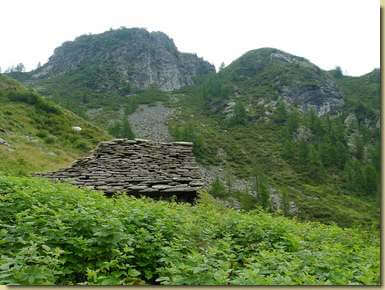 Alpe Forcola inferiore...