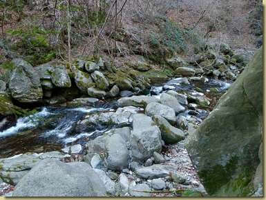 il Torrente Fiumetta...