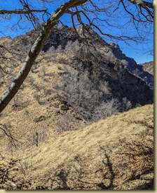 scendendo alla Sella di Vazzosa...