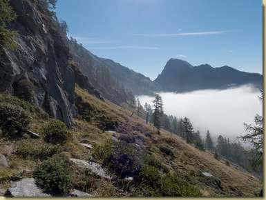 sul sentiero per la Bocchetta di Ruggia...