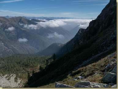 il versante che scende all'Alpe Pezza Crociata...