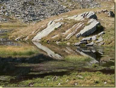 riflessi sul laghetto...