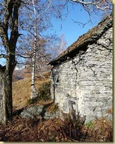Alpe Saborsone