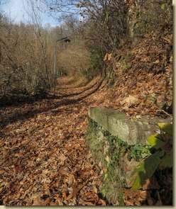 proseguendo la salita...