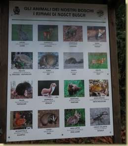 rimaai di nosct busch...
