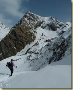 il Tagliaferro...