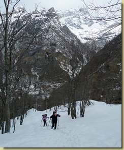 salendo nel bosco...