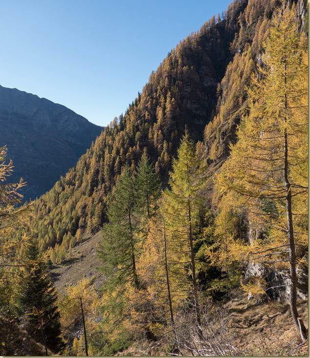 autunno ad Alpje...