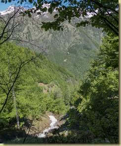 in basso, il prato dell'Alpe La Baita...