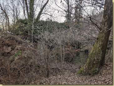 arrivo a Cavagliasche nascosto dalla vegetazione...