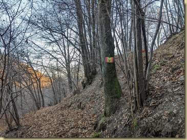 ogni tanto si trovano i segnavia del sentiero 797...