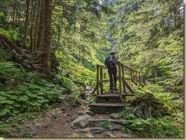 il primo di una serie di ponti sul Tafernabach...