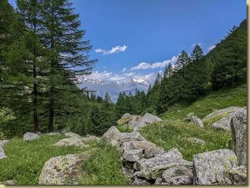 uno sguardo a ritroso...