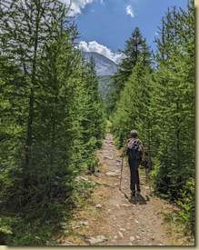 corridoio nel verde...
