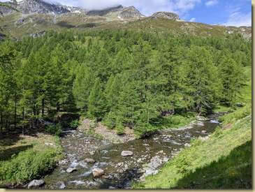 unione del Ritzibach col Chrummbach...