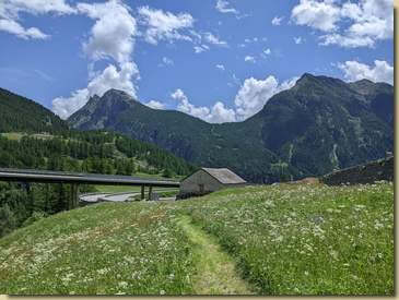 i prati fioriti di Simplon Dorf...