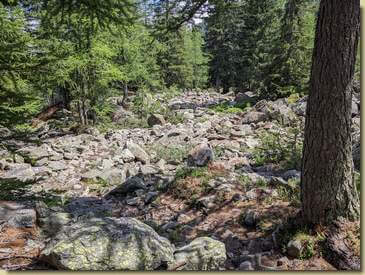 sentiero "sassoso"...