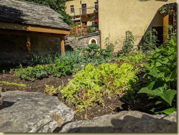 insalata svizzera...