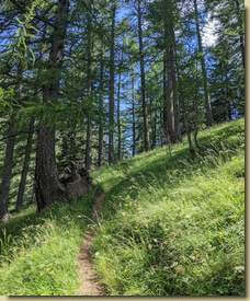 inizia la salita verso il Passo di Monscera...