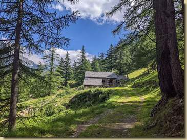 alpeggio nella zona di H&auml;rd...