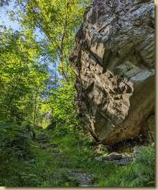 sul sentiero che interseca la strada...