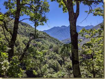 in basso tra gli alberi, l'Oratorio del Dagliano...