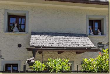 galline alle finestre...